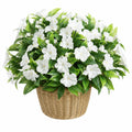 Planta Artificial en Maceta con Flores Blancas Decorativas