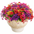 Arreglo de Flores Artificiales Multicolor en Maceta de Cerámica