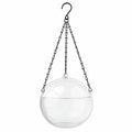 Maceta Colgante Transparente de Vidrio con Cadena Negra 30 cm