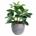 Planta Artificial en Maceta Verde 50cm para Decoración de Interiores