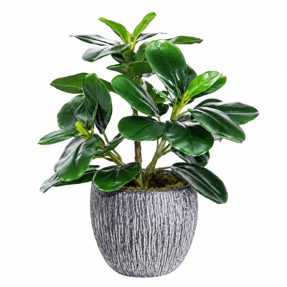 Planta Artificial en Maceta Verde 50cm para Decoración de Interiores