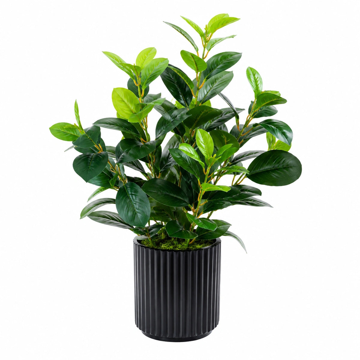 Planta Artificial Decorativa con Maceta Negra 50cm