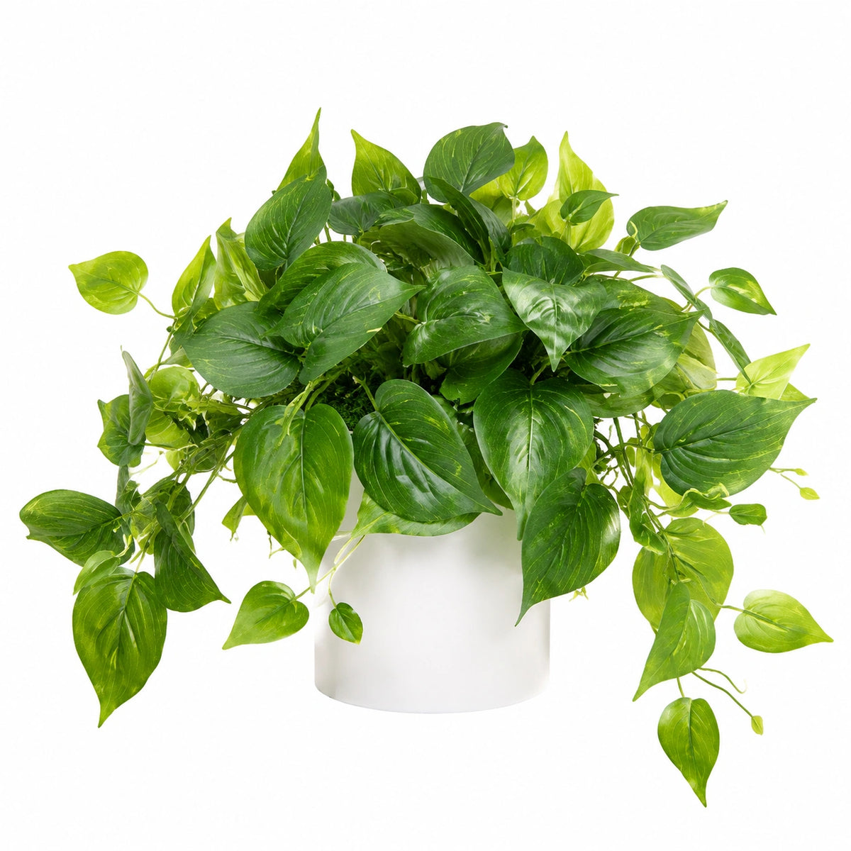 Planta Artificial Verde con Maceta Blanca para Decoración Interior
