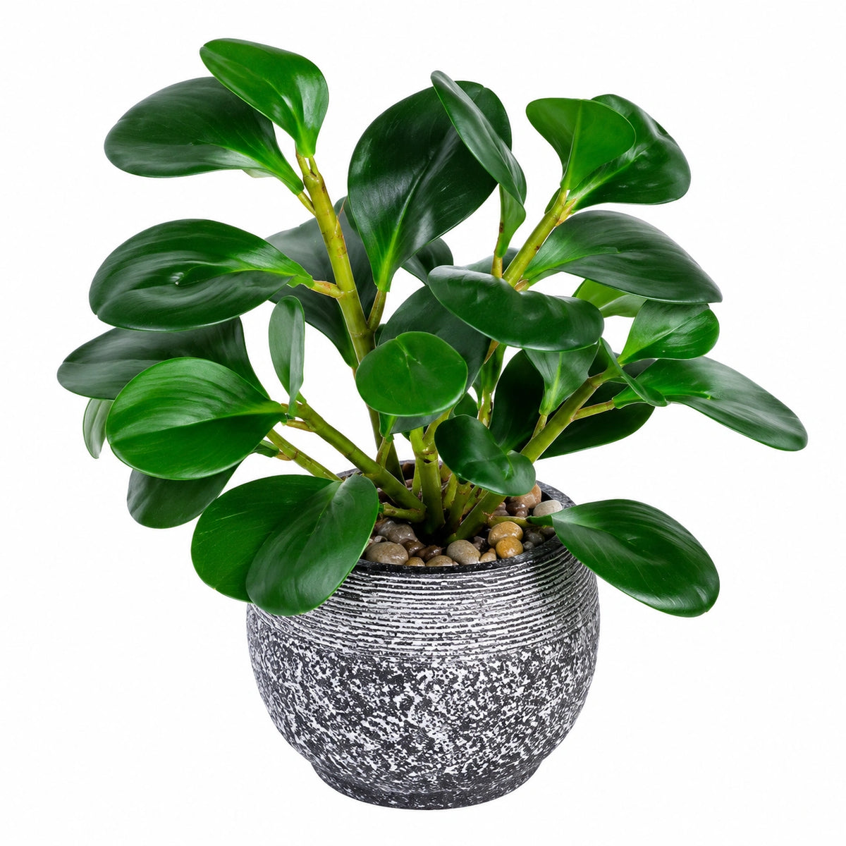 Planta Artificial de Peperomia en Maceta Gris 30 cm